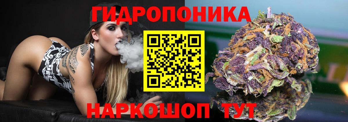 Конопля конопля Родники